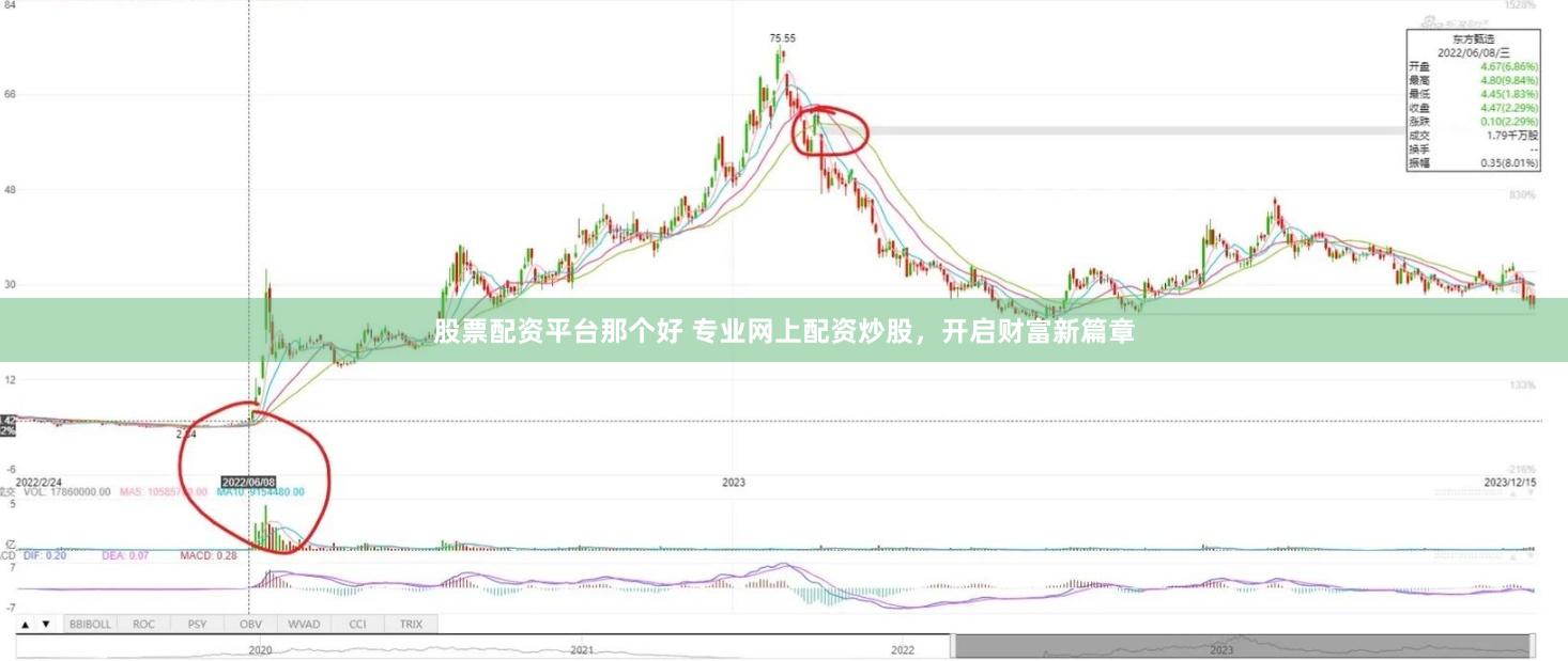 股票配资平台那个好 专业网上配资炒股，开启财富新篇章