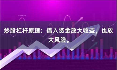 炒股杠杆原理：借入资金放大收益，也放大风险。